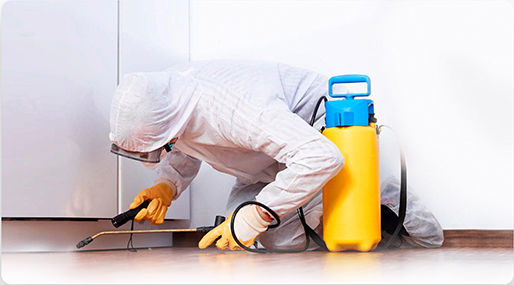 Почему стоит выбрать нас